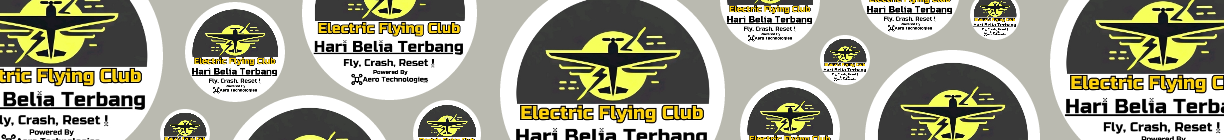 Electric Flying Club
